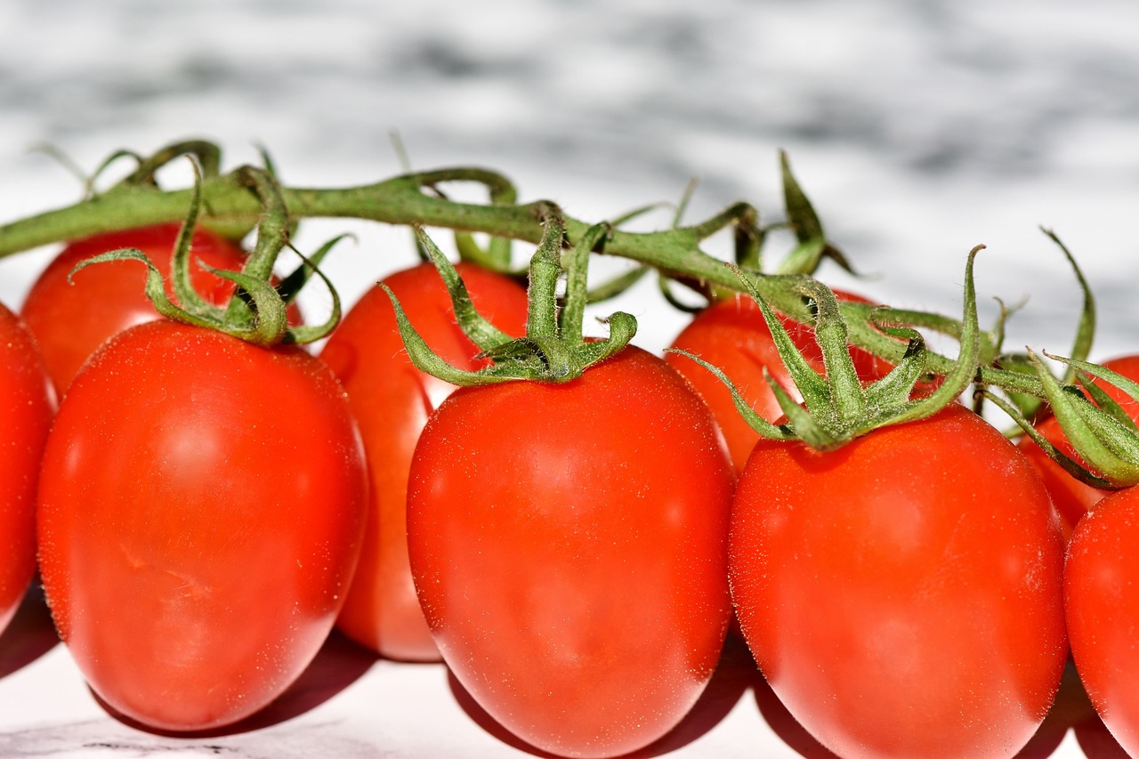 entdecken sie kreative und köstliche vegetarische rezepte, die nicht nur gesund sind, sondern auch ihrem gaumen schmeicheln. genießen sie eine vielfalt an pflanzlichen zutaten und inspirierenden ideen für eine bewusste ernährung.