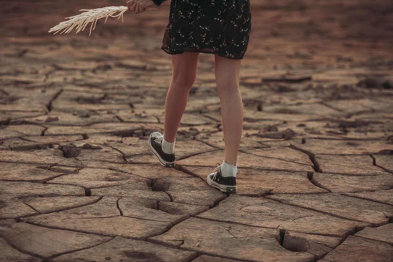erfahren sie mehr über den klimawandel: seine ursachen, auswirkungen auf die umwelt und die globale gesellschaft sowie mögliche lösungen zur bekämpfung der klimakrise.