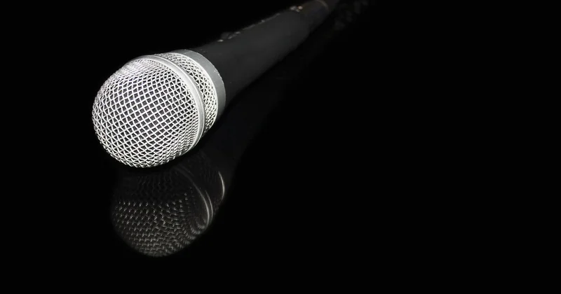 Wie heißt Karaoke auf Englisch?