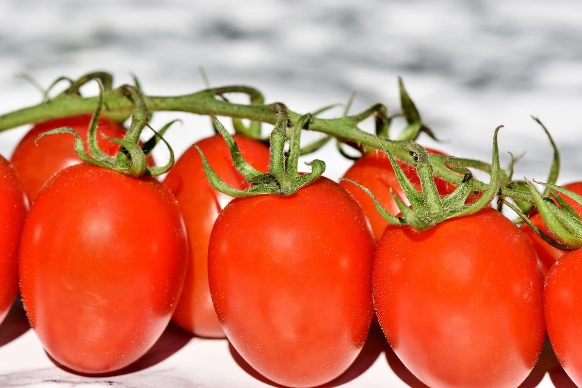 Warum bekommen Vegetarier häufiger Herzinfarkte?