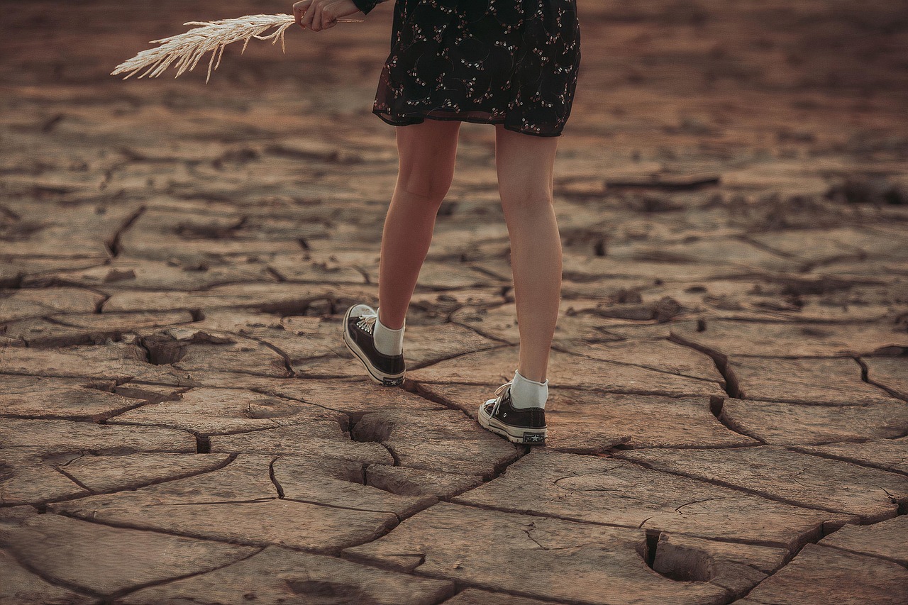 erfahren sie mehr über den klimawandel: seine ursachen, auswirkungen auf die umwelt und die globale gesellschaft sowie mögliche lösungen zur bekämpfung der klimakrise.