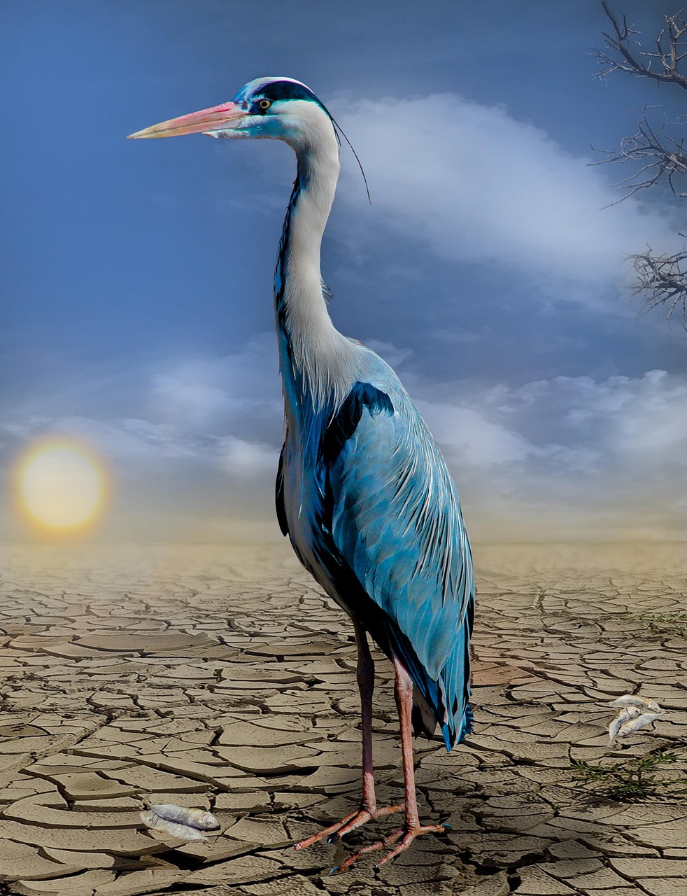 erfahren sie mehr über den klimawandel, seine ursachen und auswirkungen auf unseren planeten. entdecken sie lösungen und maßnahmen, um die erderwärmung zu bekämpfen und eine nachhaltige zukunft zu fördern.