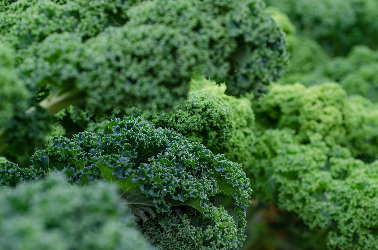 entdecken sie die welt der superfoods: erfahren sie, welche lebensmittel besonders nährstoffreich sind, wie sie ihre gesundheit fördern und wie sie sie einfach in ihre ernährung integrieren können.